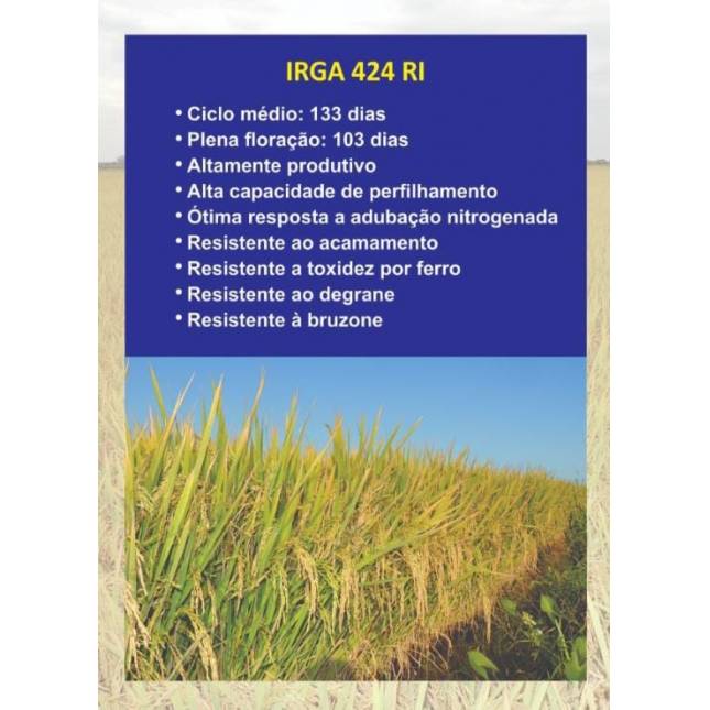 Semente IRGA 424RI